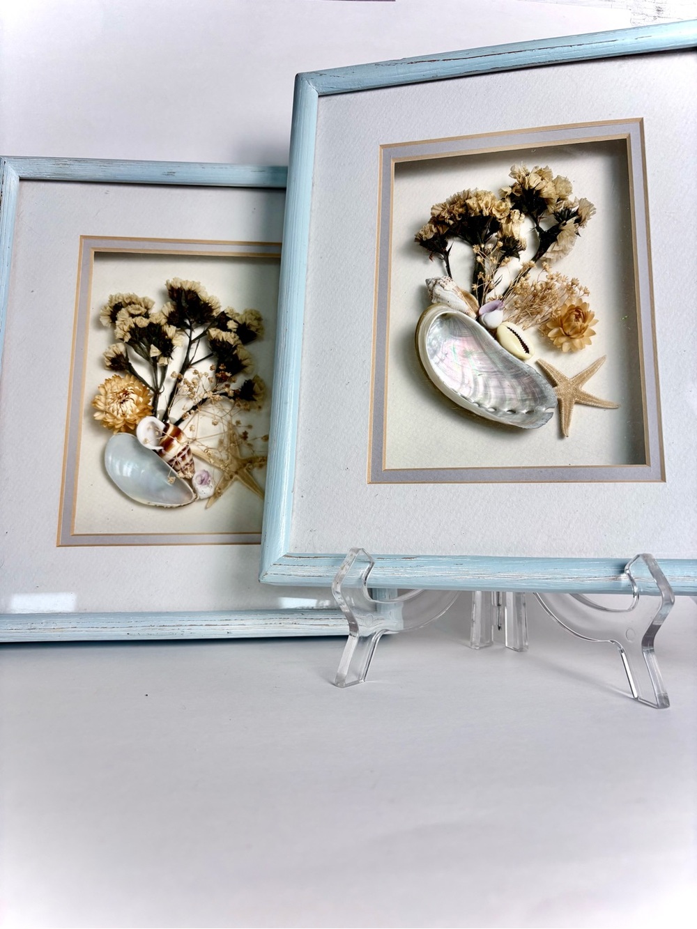Framed Coastal Botanical Art Pair - Light Blue Frames